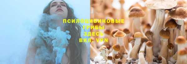 мдпв Волосово
