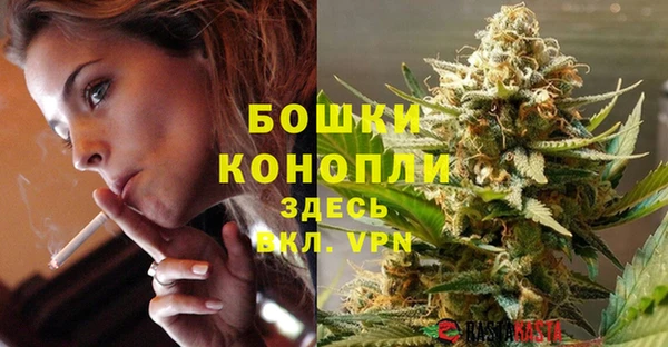 тгк Володарск