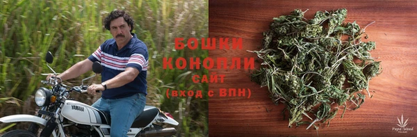 тгк Володарск