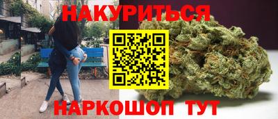 амф Кандалакша