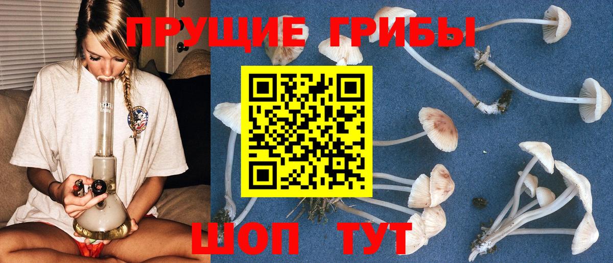 Муром  Галлюциногенные грибы ЛСД  Вход с VPN 