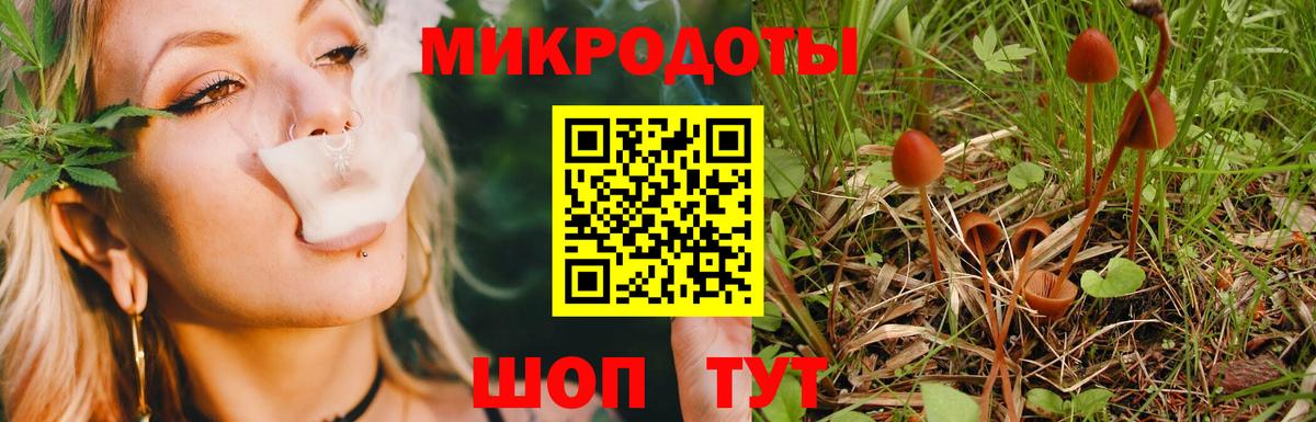 Галлюциногенные грибы прущие грибы Муром